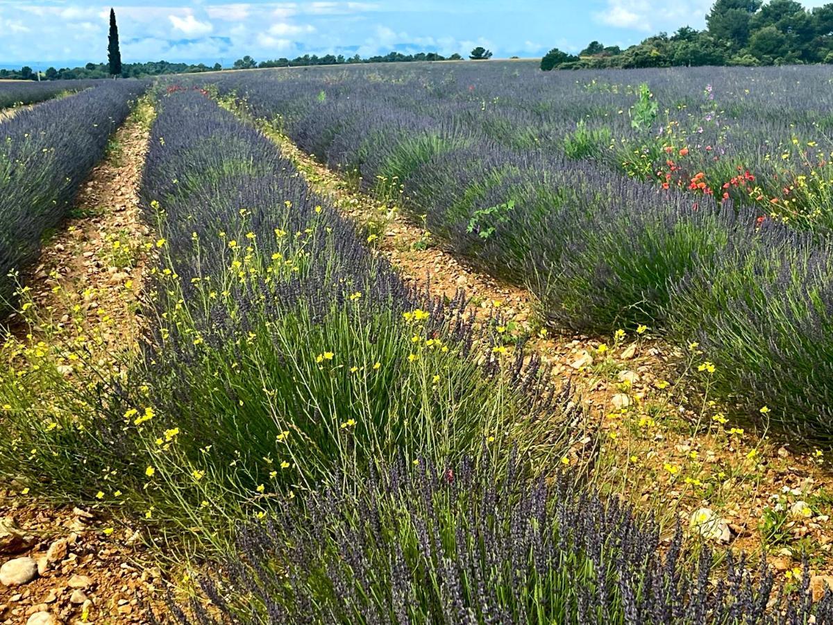 Gite Harmonie Gréoux-les-Bains Buitenkant foto