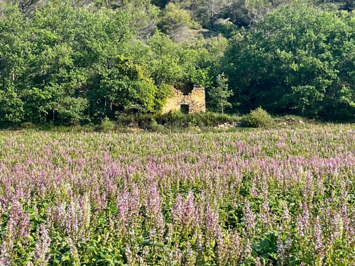 Gite Harmonie Gréoux-les-Bains Buitenkant foto