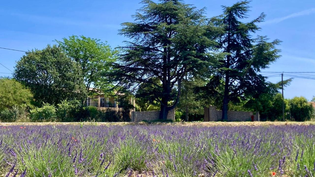 Gite Harmonie Gréoux-les-Bains Buitenkant foto