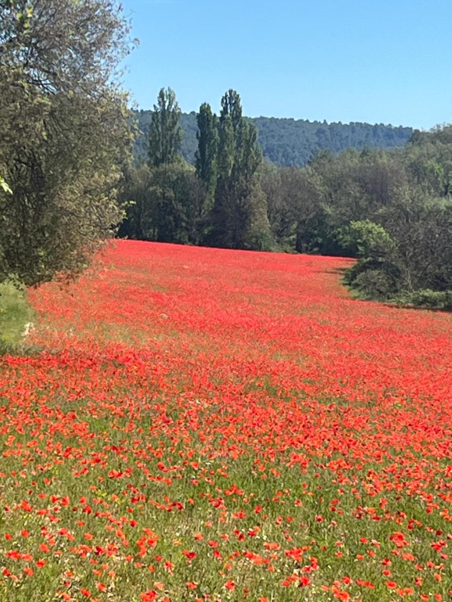 Gite Harmonie Gréoux-les-Bains Buitenkant foto